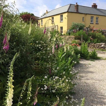 Frizenham Farmhouse Little Torrington Esterno foto