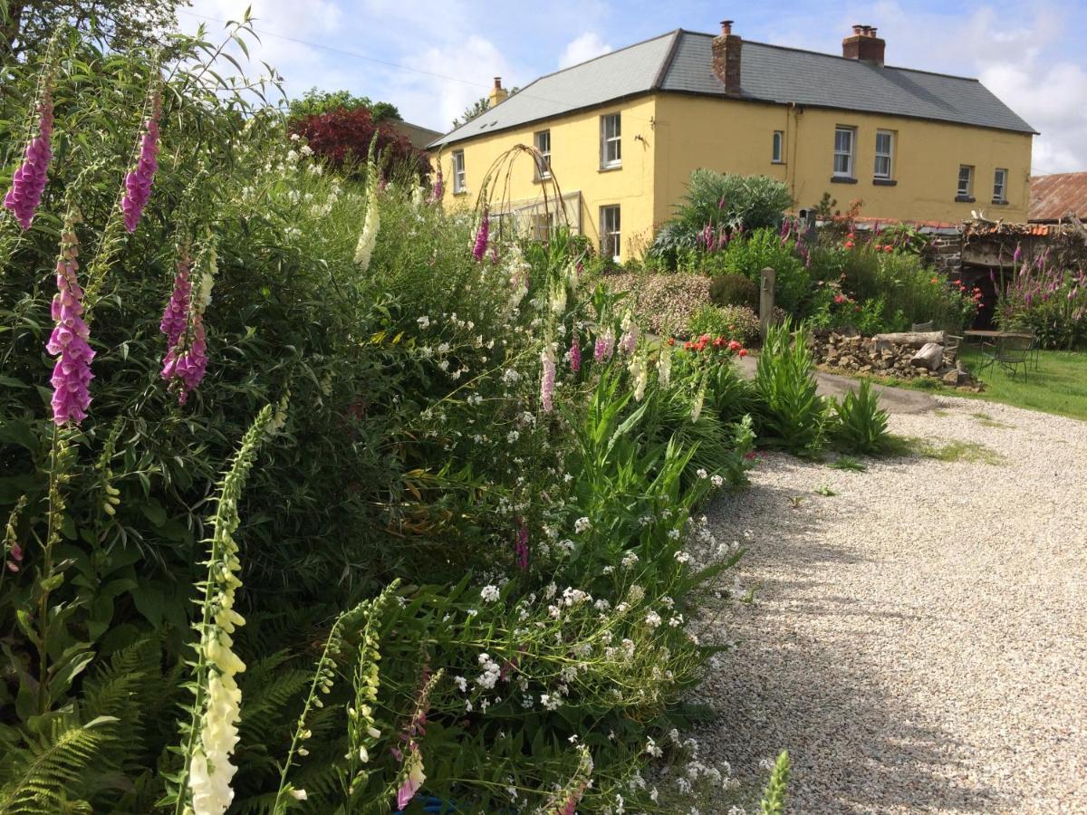 Frizenham Farmhouse Little Torrington Esterno foto