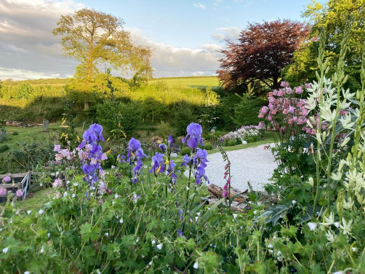 Frizenham Farmhouse Little Torrington Esterno foto