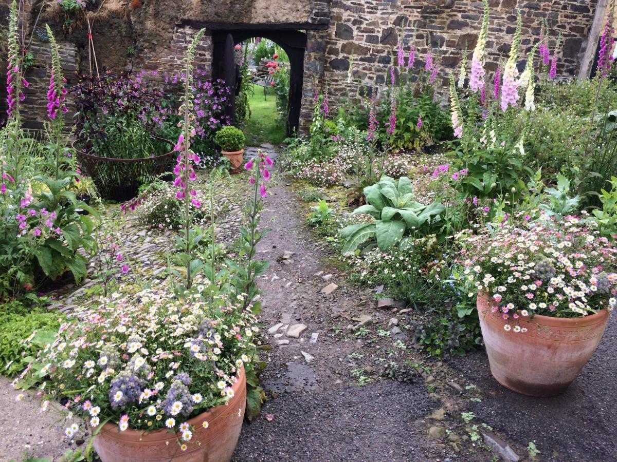 Frizenham Farmhouse Little Torrington Esterno foto